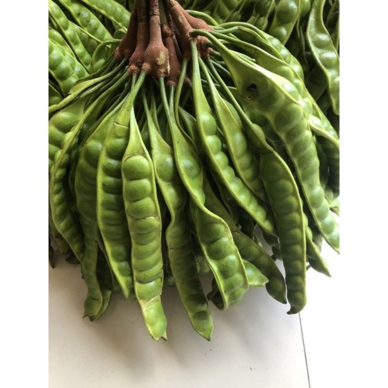 

PETE TUA KHAS JEMBER