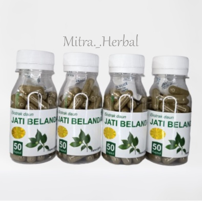 DAUN JATI BELANDA Kapsul Herbal Pelangsing Alami Kemasan Hemat - isi 50 pcs