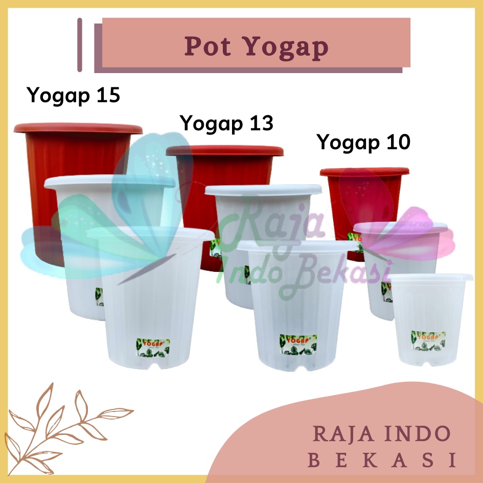 Pot Yogap 10 13 15 Putih Coklat Merah Bata Bening Transparan Pot Yogap 13 15 17 18 19 20 25 30 Pot Yogap Murah