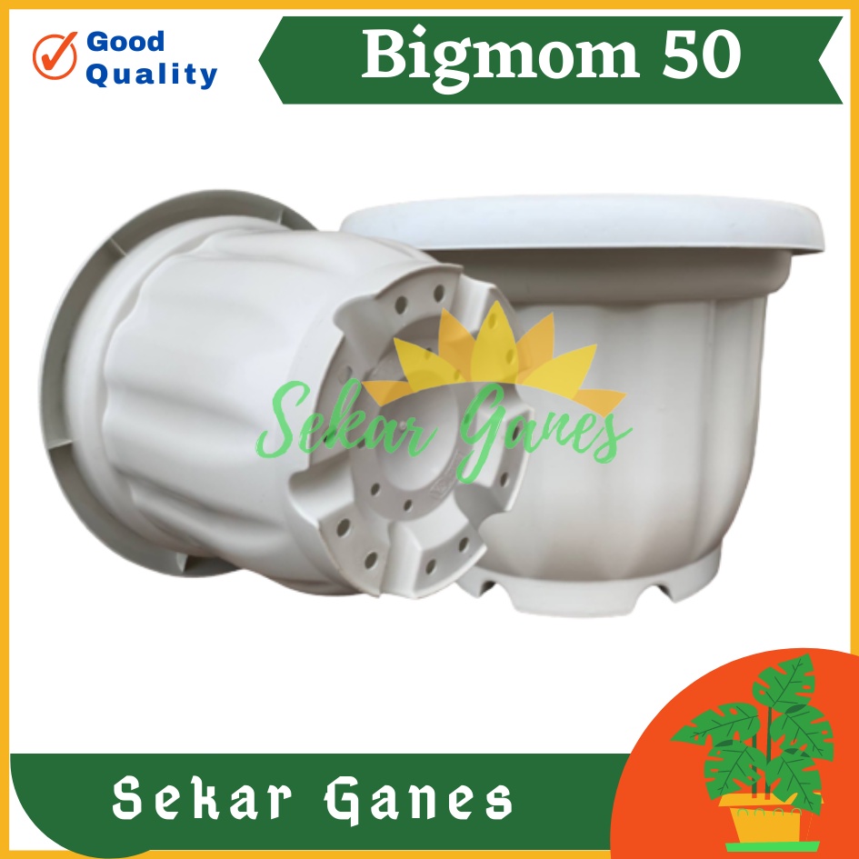 ONLY SAMEDAY AND INSTAN Pot BIGMOM 50 Putih - Pot Besar Jumbo 50cm Pot Besar Plastik Bahan Tebal - Pot Besar Jumbo 100cm 50cm 40cm Putih Tinggi Hitam