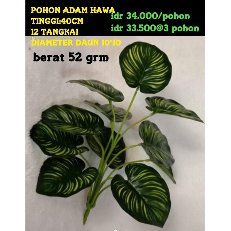 pohon adam hawa tinggi 40cm 12batang daun hiasan dekorasi rumah bahan import
