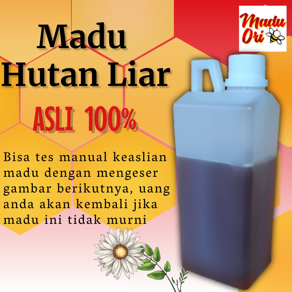 

Madu hutan liar 1 kg murni sumbawa lebah gung raw honey asli odeng uray belantara