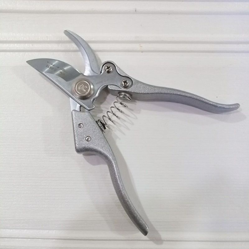 GUNTING DAHAN RANTING POHON