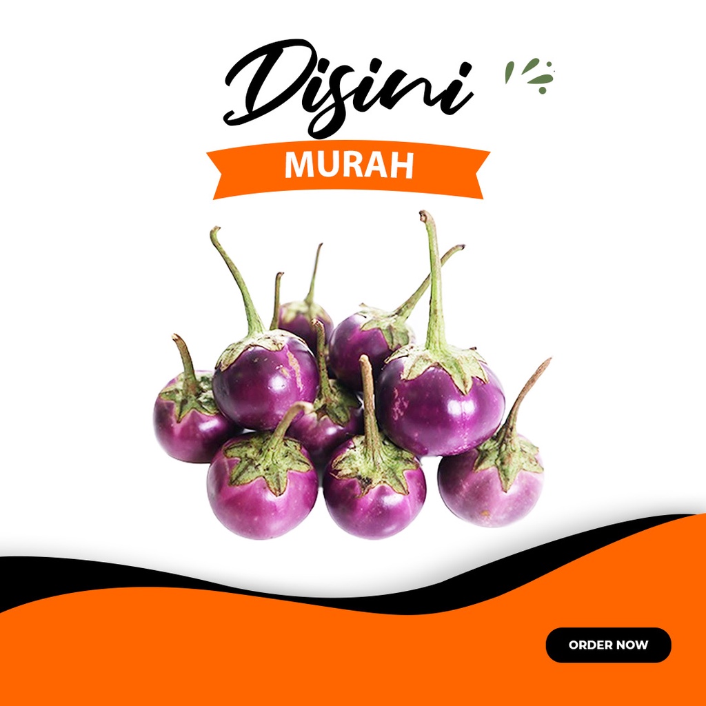 

Terong Bulat Ungu per 250