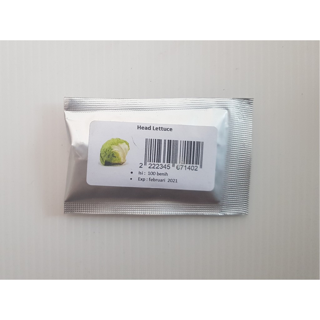 Benih Head Lettuce - 100benih