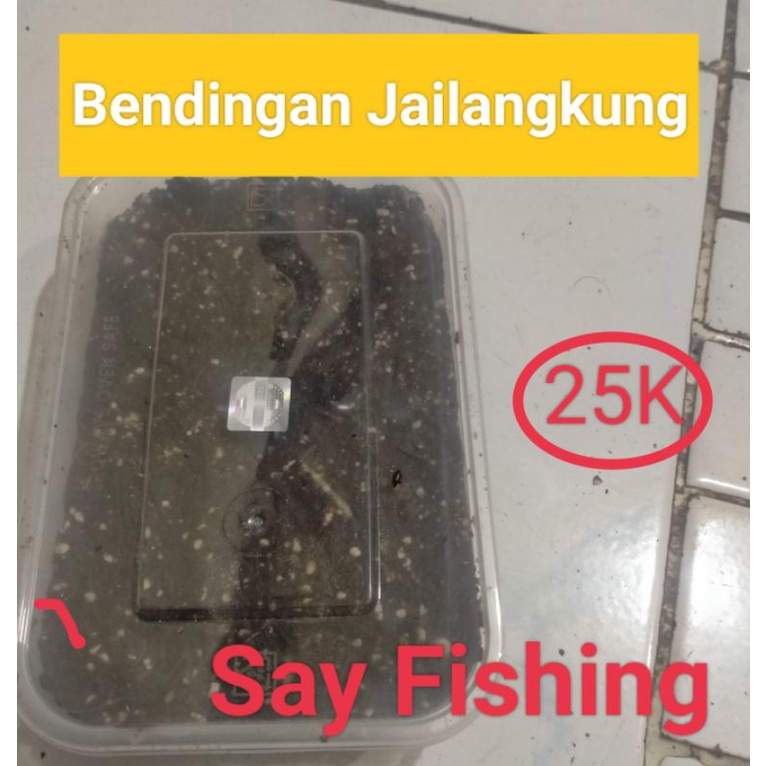 Tanah Bendingan Jailangkung