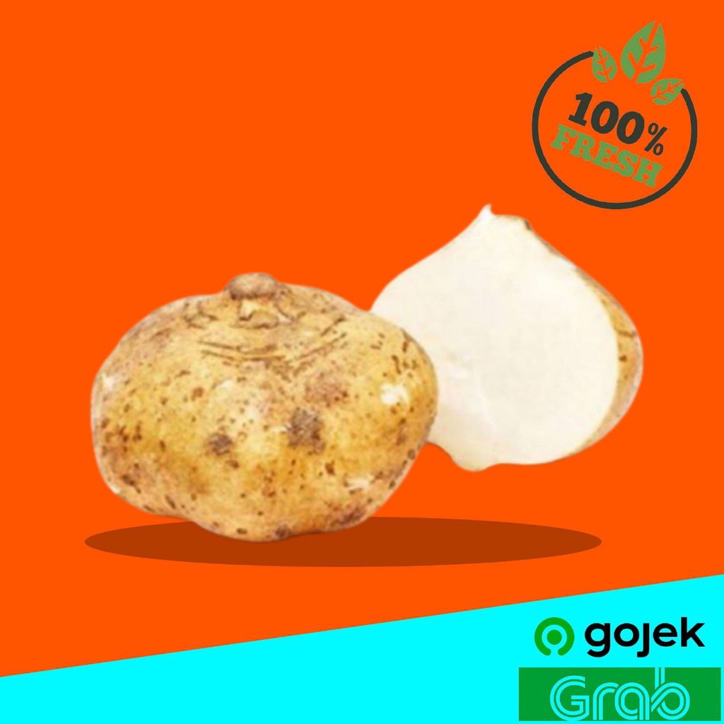 

Sayur Tangerang Sayuran Segar Bangkuang 1000 gr