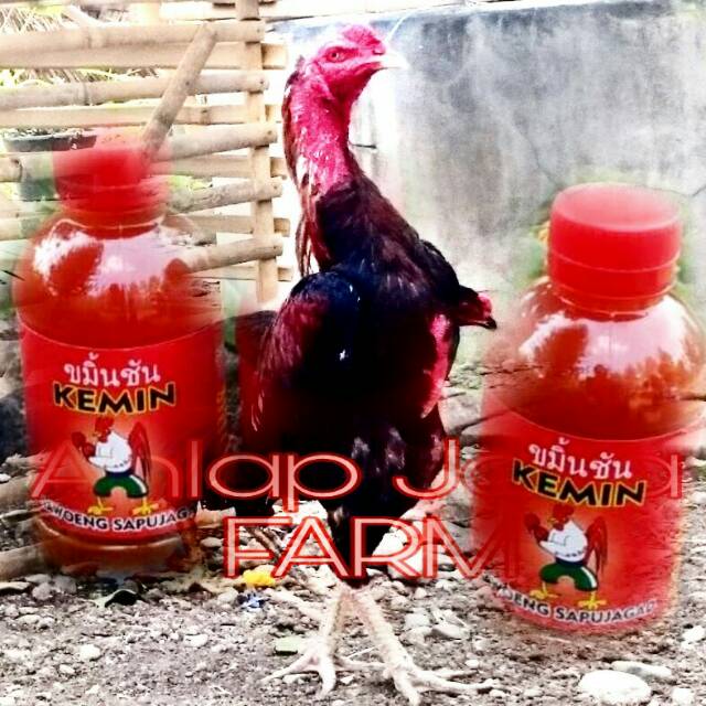 

ARAKEMIN SAPUJAGAD