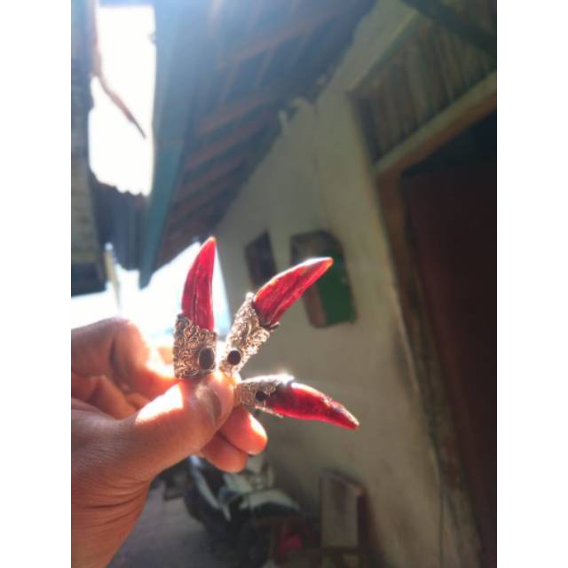 liontin akar bahar merah asli tembus senter bukan cendana agathis kelor nagasari bidara ring perak