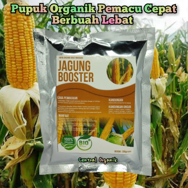 Pupuk Organik Tanaman Jagung Pupuk Jagung Cepat Besar Pupuk Pelebat Jagung Pupuk Khusus Tanaman Jagu