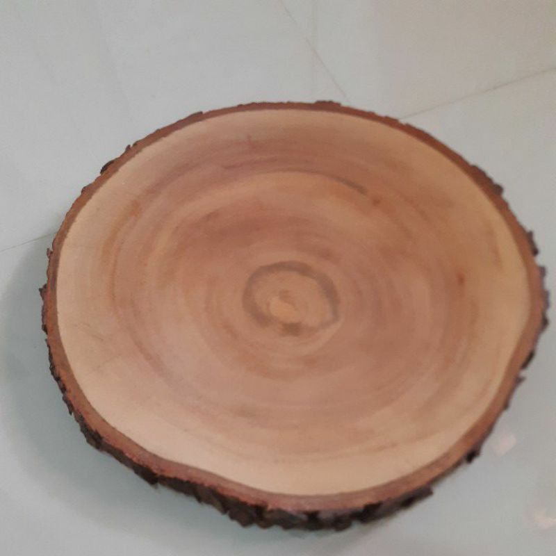 Wood Slice