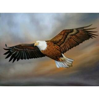 Lukisan Burung Elang Lukisan Custon Shopee Indonesia