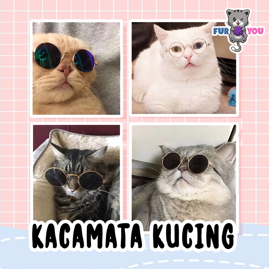 Kacamata Anabul Lucu Kacamata Anjing Kucing