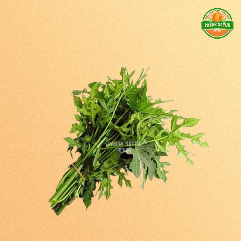 

Daun pepaya segar / daun paya 150 gram murah segar dan lengkap