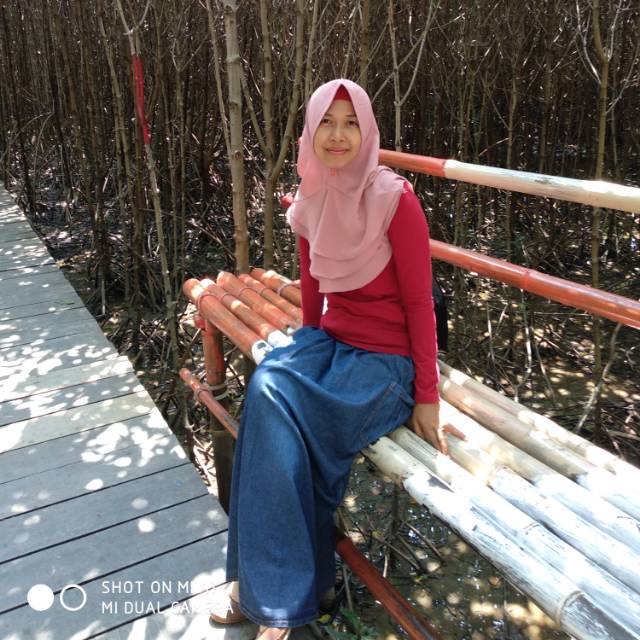 ani_deanix