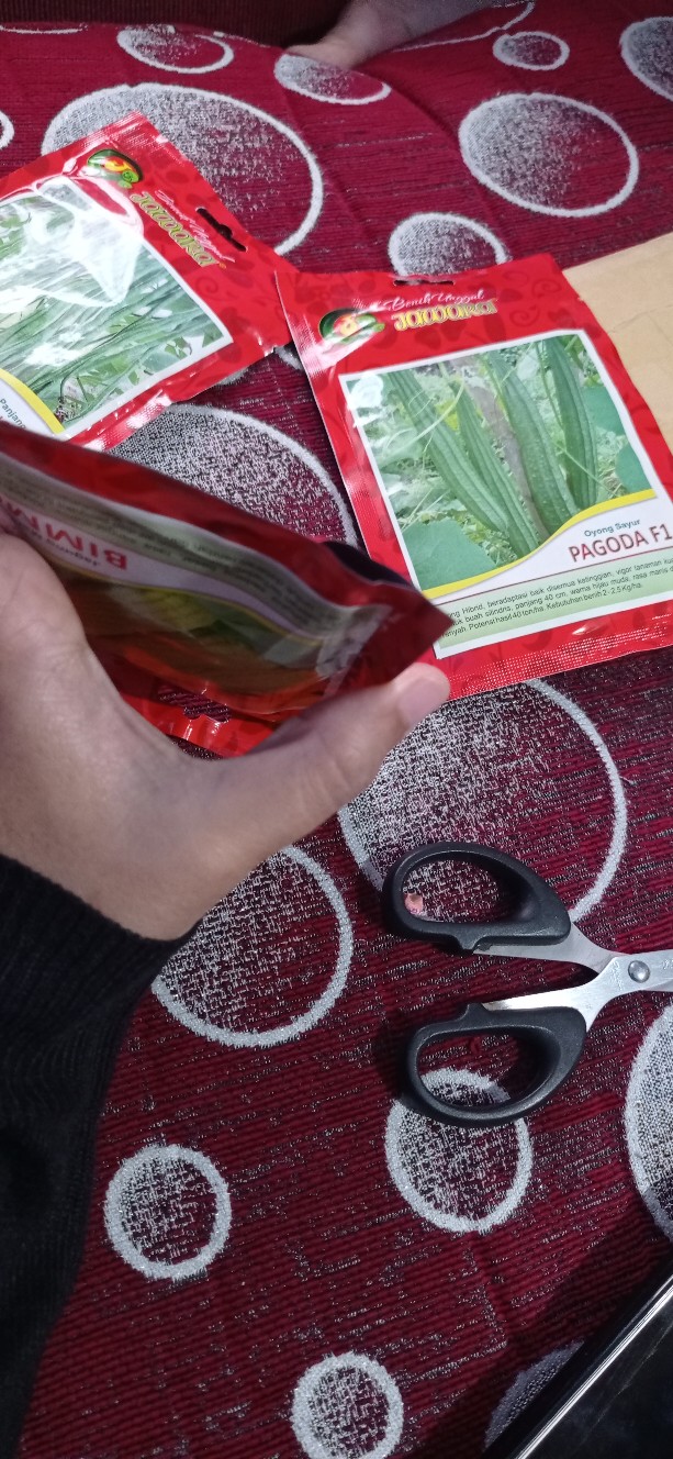 Isi 50 Gram Bibit Jagung Manis Bimmo | Benih Jagung | Biji Jagung Manis | Bibit Unggul