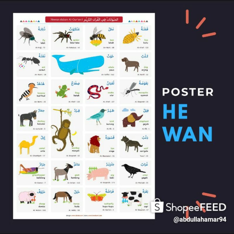 Poster Hewan ayat Al-Quran dan 3 Bahasa (Arab, Inggris, Indonesia)
