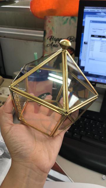 Tempat Cincin Terrarium
