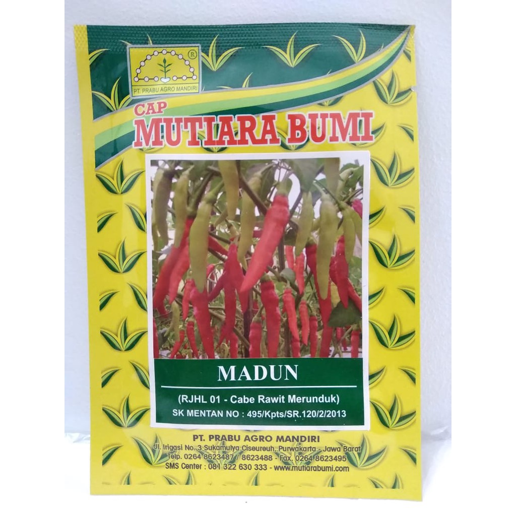 Benih / Bibit Cabe Rawit Putih Merunduk Madun Mutiara Bumi @ 10 Gram