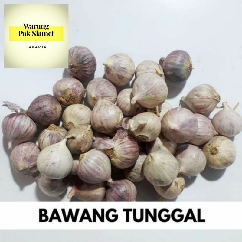 

Bawang putih tunggal / bawang lanang