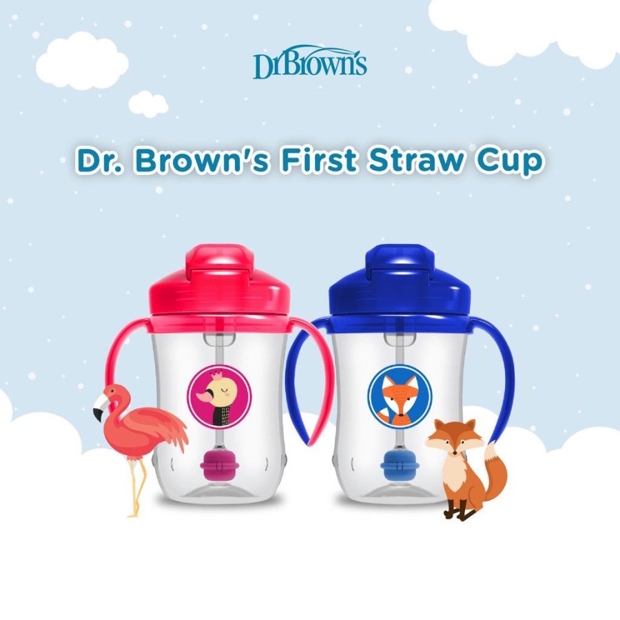 Dr Brown's Baby 1st First Straw Cup | Botol Minum Pemberat Bayi