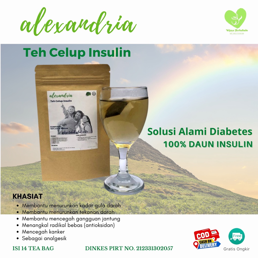 Teh Celup Insulin I Obat Herbal Diabetes I Minuman Herbal 100% Alami