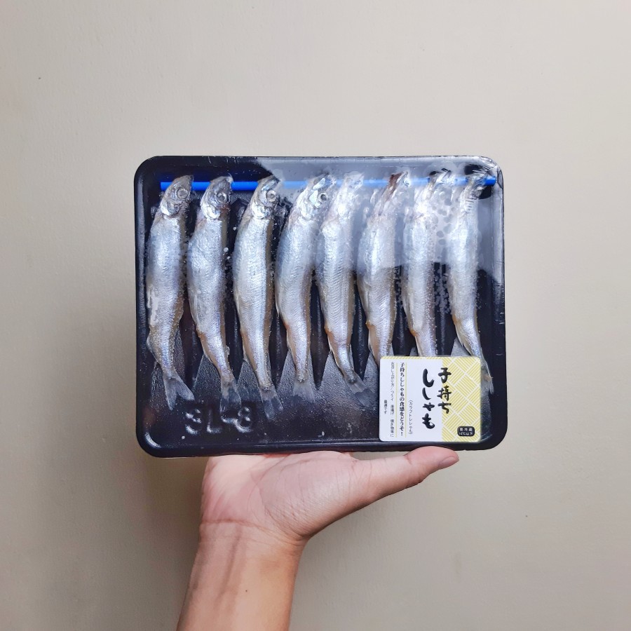 Shisamo Fish / Ikan Capelin Premium Import / Ikan Telur