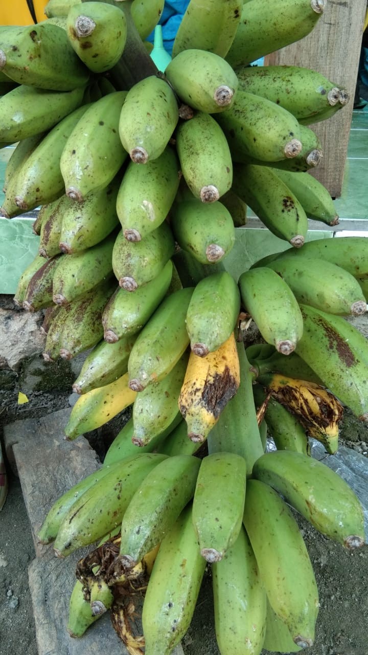 Sprei Kendra Ukuran 140x200 (blue Easton, Funtastic, Rose Autumn, Leon Rose, Macan )