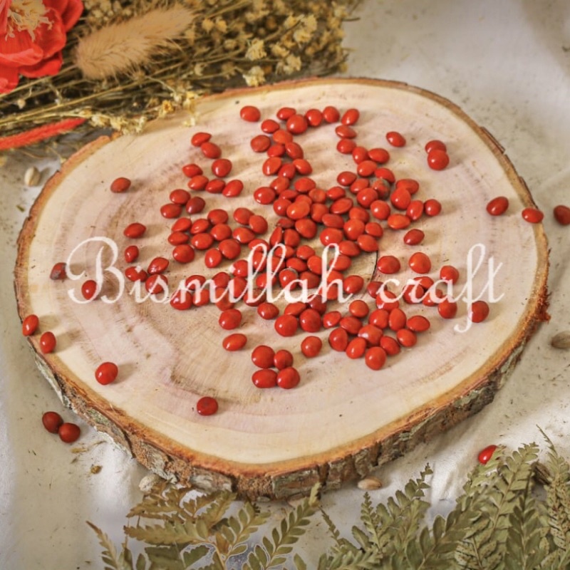 BIJI SAGA BIJI MERAH BAHAN RUSTIC     BIJI bijian bahan craft kerajinan dekorasi media potoshop
