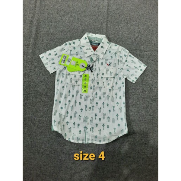 Kemeja Original CARDINAL KIDS