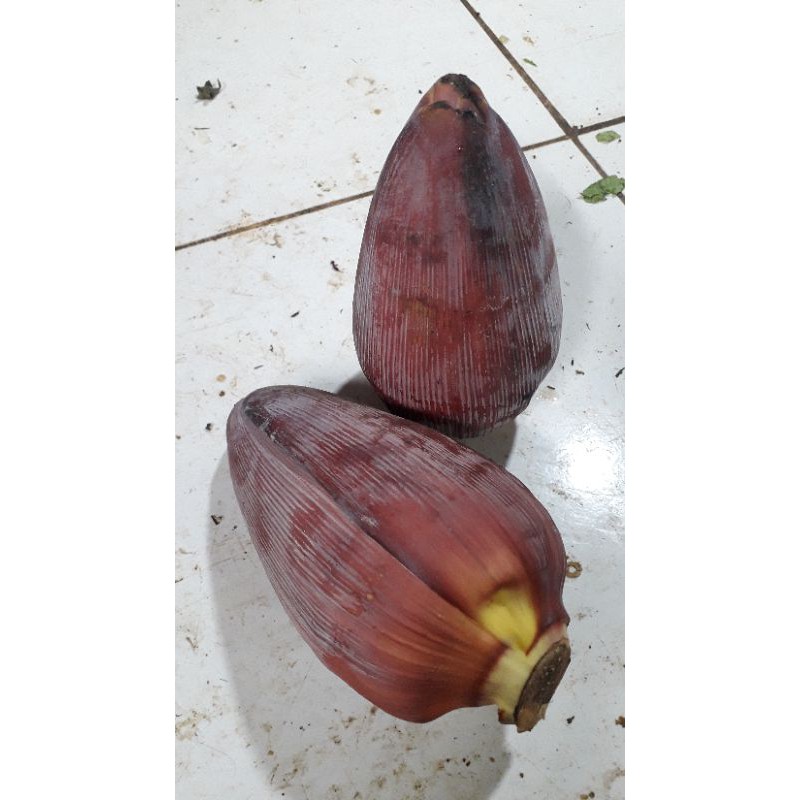 

JANTUNG PISANG /1,BUAH
