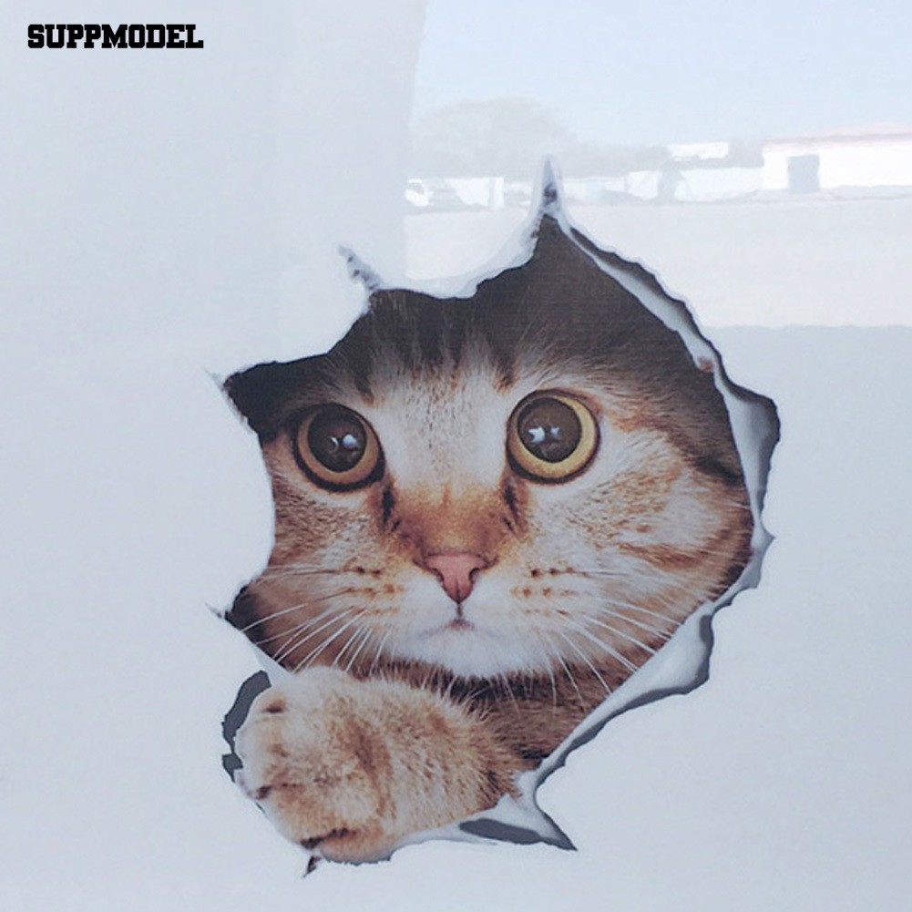 Stiker 3D Motif Kucing Mengintip