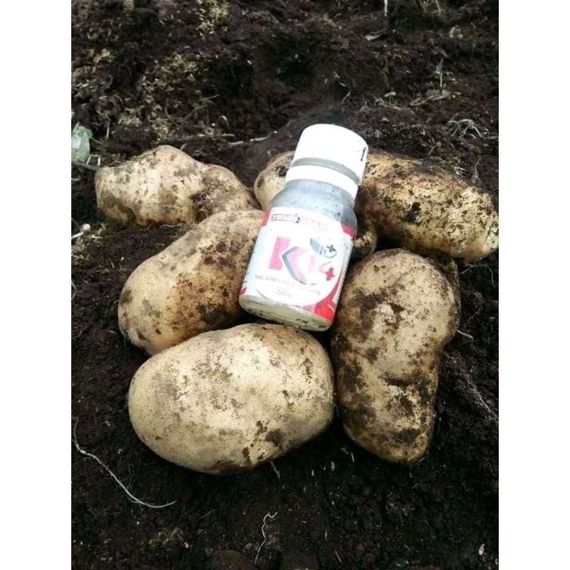K14 250ml - penurun dan pembesar buah/umbi kentang
