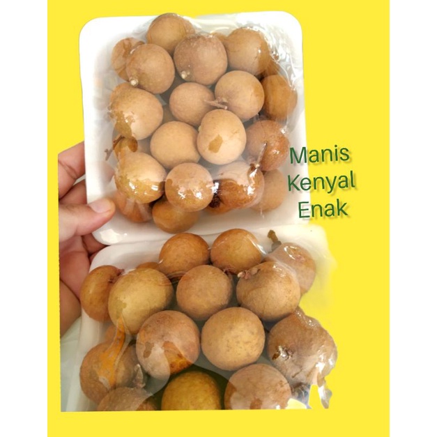 

BUAH KLENGKENG MANIS SEGER.VITAMIN ALAMI