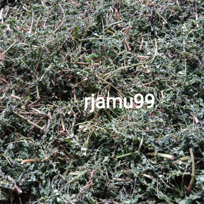 

Meniran Kering 250g