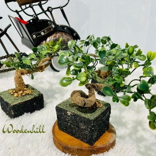 Furniture hiasan rangkaian bunga bonsai daun semanggi plastik artifisial, unik , lucu dan klasik, penghias ruangan serbaguna