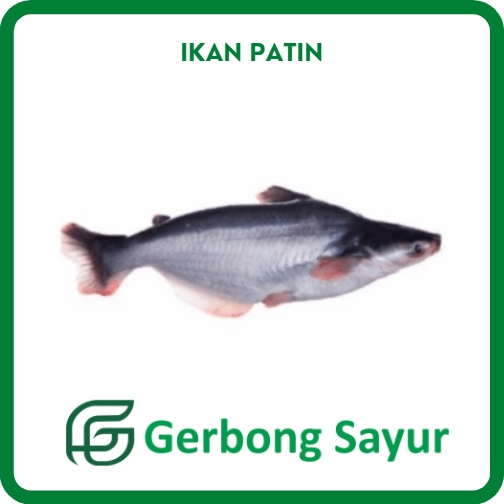 

Ikan Patin Segar - 1 Kg