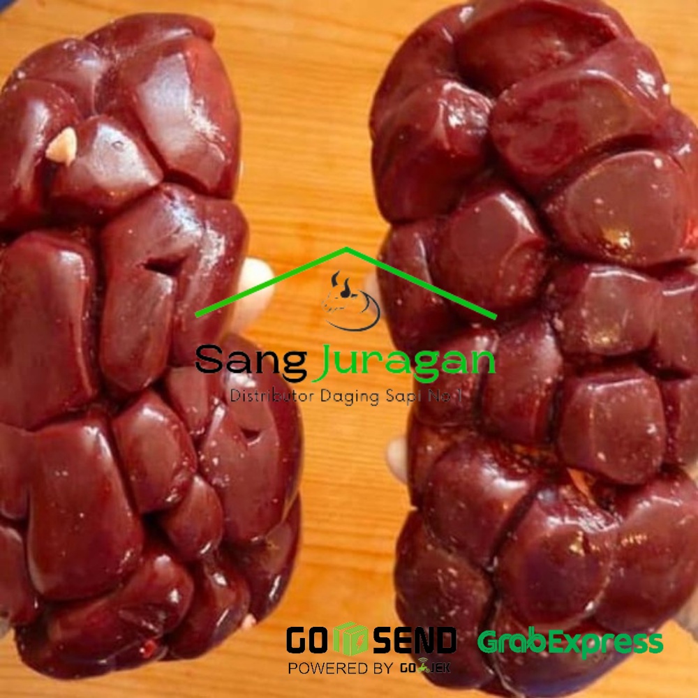 

Ginjal Sapi Lokal Segar -Sang Juragan