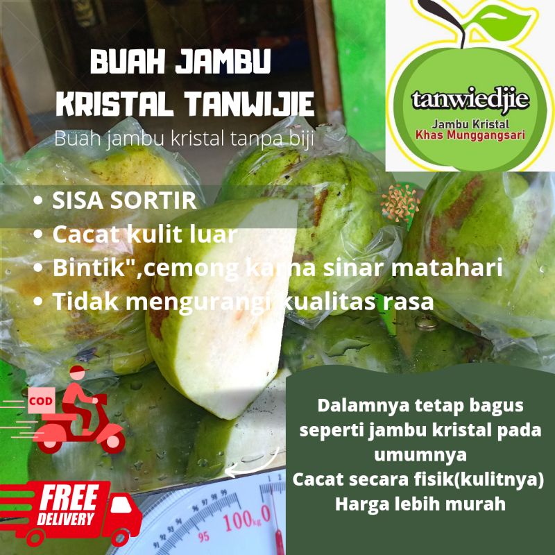 

Buah jambu kristal 1 kg sisa sortir, cacat kulit luar