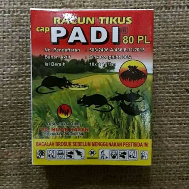 Racun tikus cap PADI 80PL racun tikus tabur