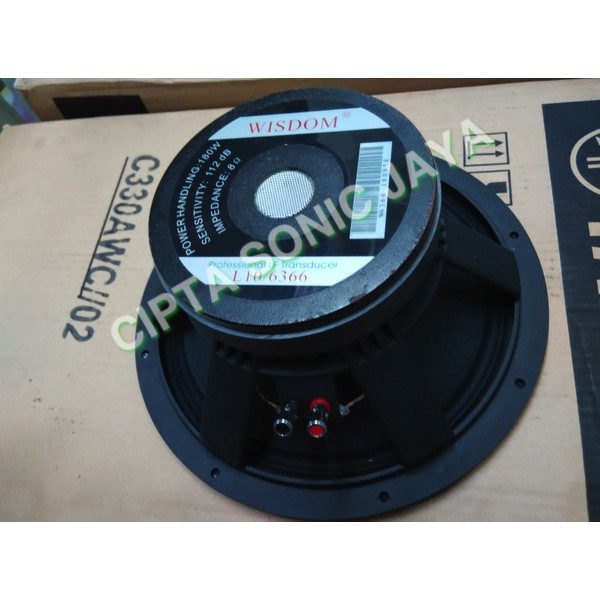 speaker wisdom 10 inch