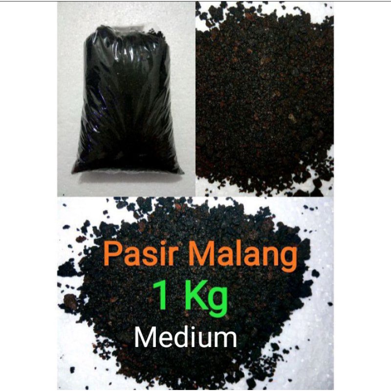 pasir malang  pasir aquarium pasir aquascape sukulen kaktus aquascape