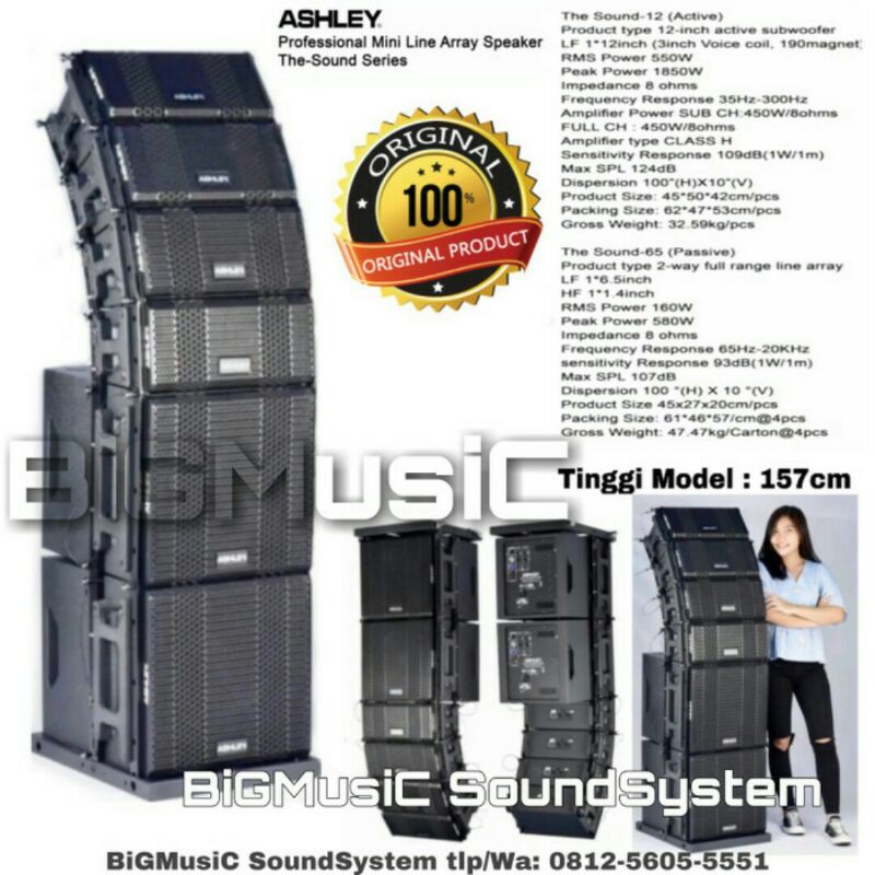 Speaker Line Array Ashley The Sound Series 6.5 inch Sub 12 inch Aktif