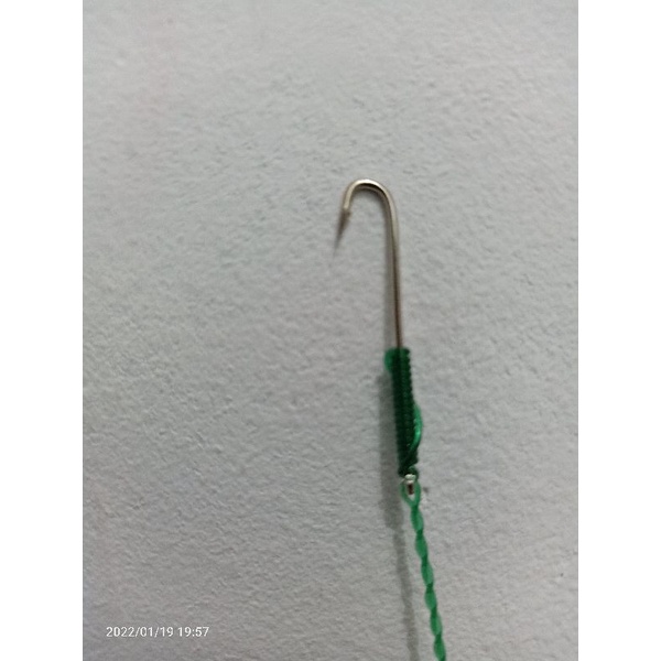 mata pancing belut.urek belut