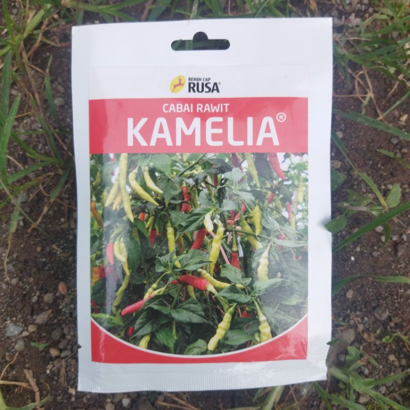 BENIH CABAI RAWIT KAMELIA 10 GRAM