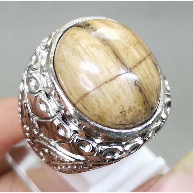 Batu Akik Bagus Tapak Jalak Coklat Fosil Kayu