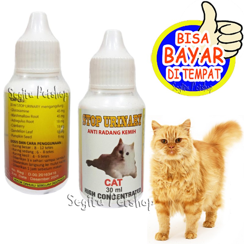 OBAT KUCING SUSAH KENCING SALURAN KEMIH STOP URINARY