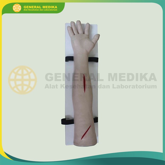 Manekin Lengan Luka Jahit | Manekin Phantom Alat Peraga Tangan