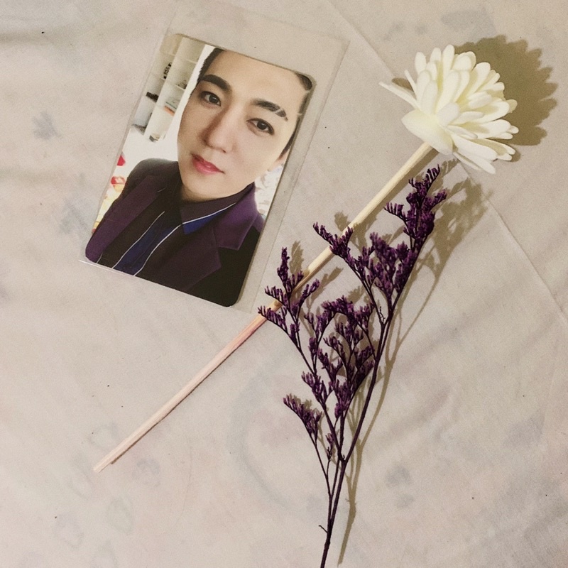 PC / Photocard DAY6 Sungjin Remember Us