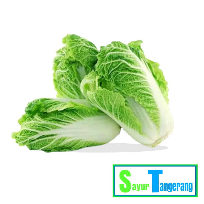 

Sayur Tangerang Sayuran Segar Sawi Putih 1000 gr